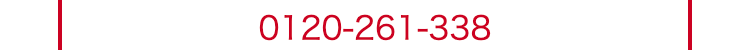 0120-261-338